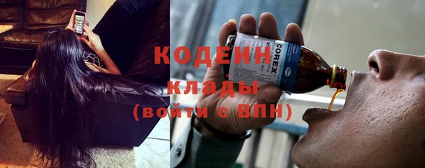 сатива Горнозаводск