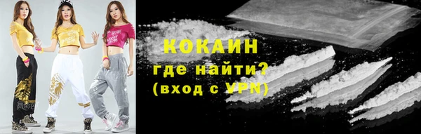 сатива Горнозаводск