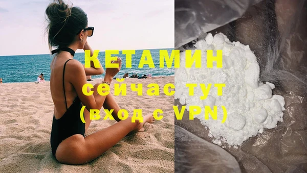 сатива Горнозаводск