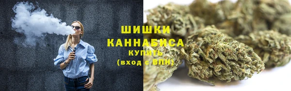 сатива Горнозаводск