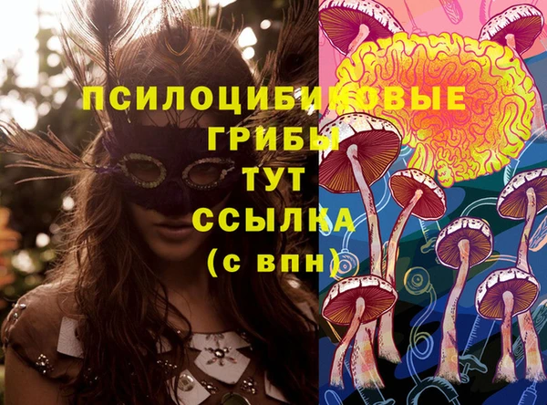 герыч Горняк