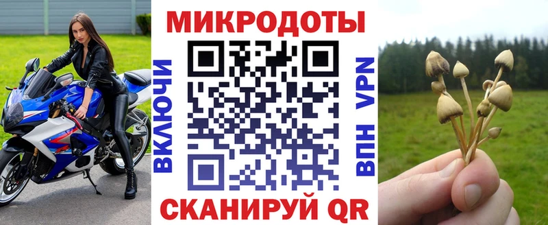 Псилоцибиновые грибы Cubensis  Новосибирск 