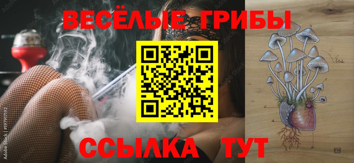 Галлюциногенные грибы мухоморы Новосибирск