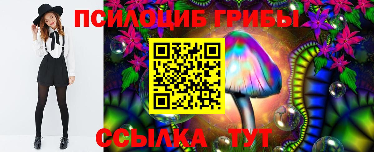 Галлюциногенные грибы MAGIC MUSHROOMS Новосибирск
