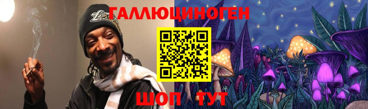 Новосибирск  Галлюциногенные грибы GOLDEN TEACHER  закладка  Вход с VPN 