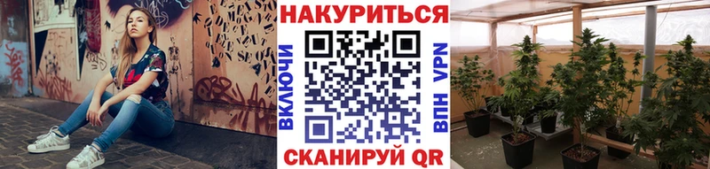 Марихуана OG Kush  наркошоп  Новосибирск 